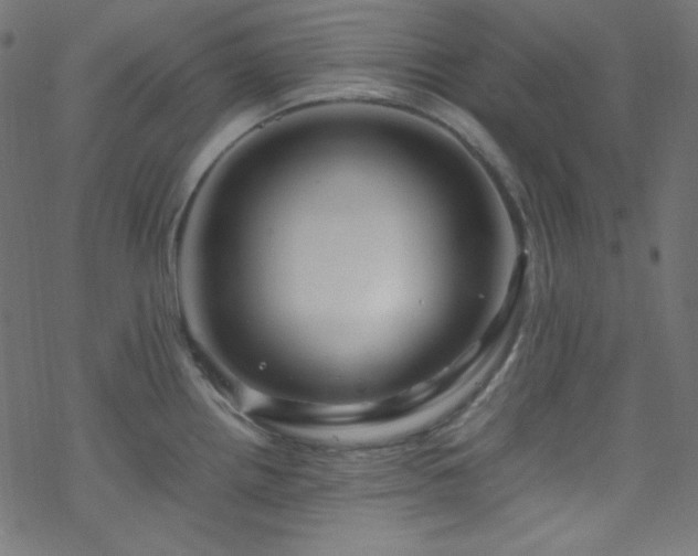 X0000070231242200605301447