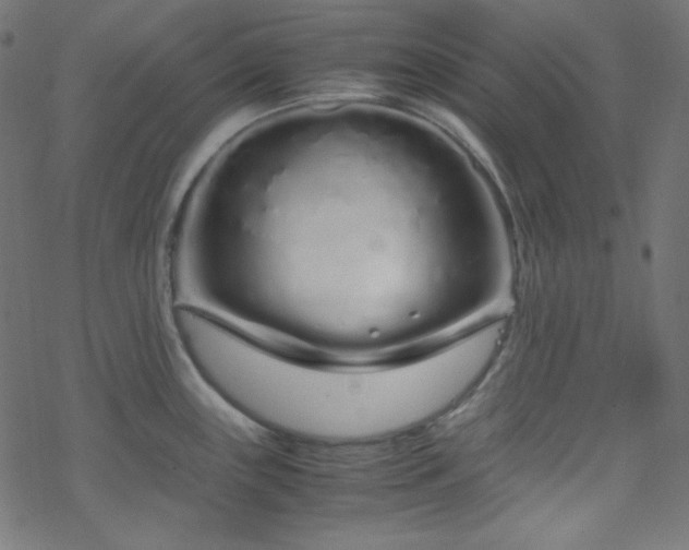 X0000070231243200605301447