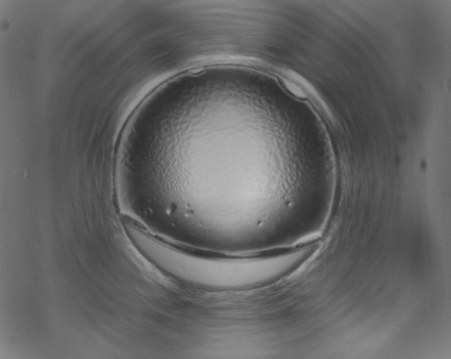 X0000070231244200605301447