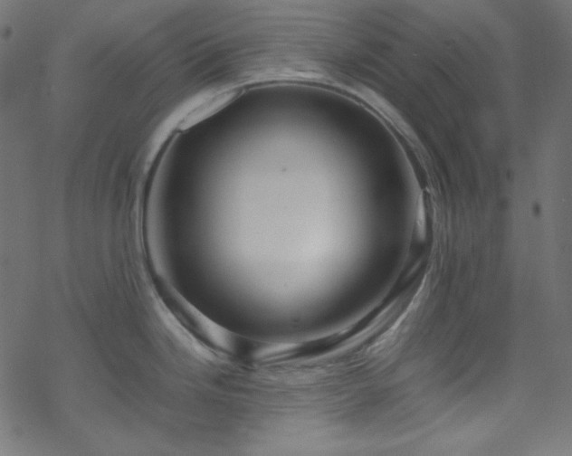 X0000070231246200605301447