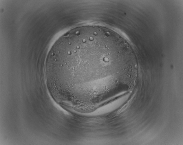 X0000070231247200605301447