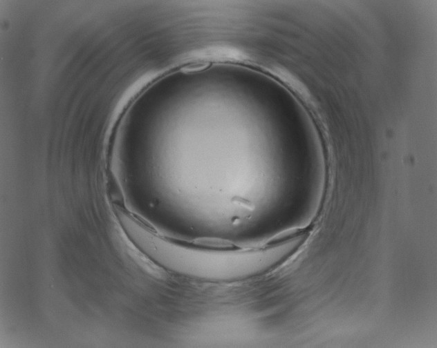 X0000070231248200605301448