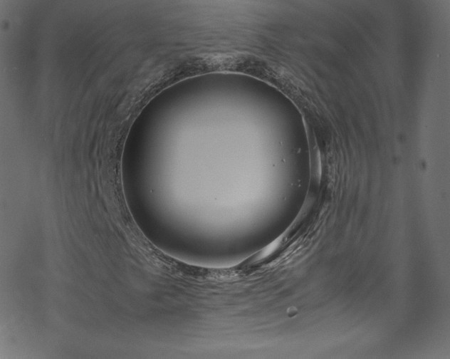 X0000070231249200605301447