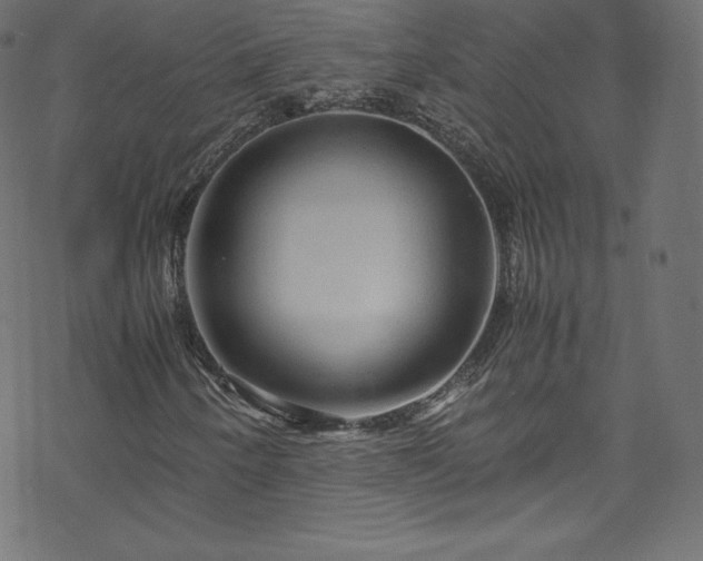 X0000070231250200605301447