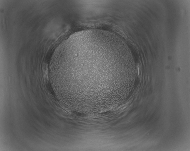 X0000070231251200605301447