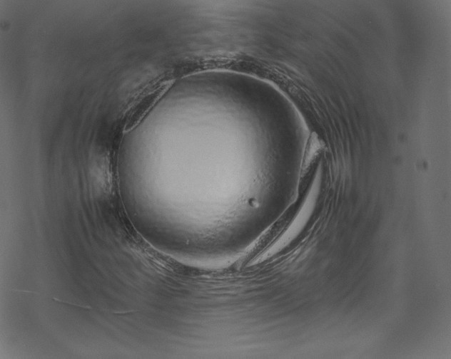 X0000070231252200605301447