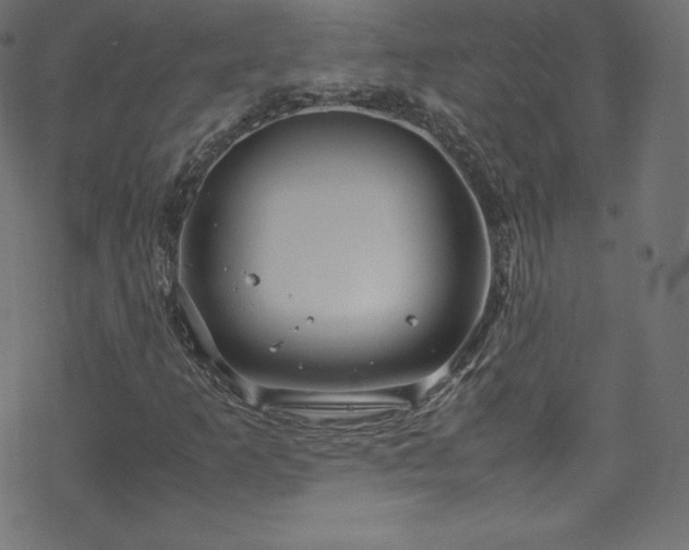 X0000070231253200605301447