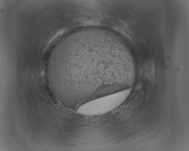 X0000070231254200605301447