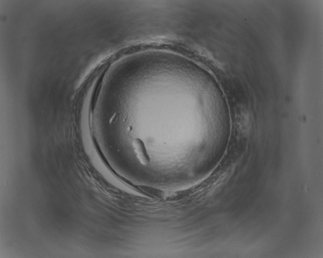 X0000070231256200605301447