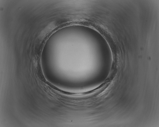 X0000070231257200605301447