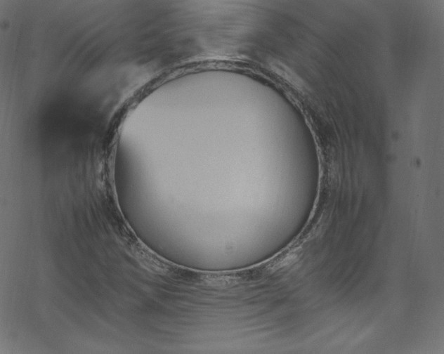 X0000070231258200605301447