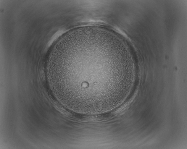 X0000070231259200605301447