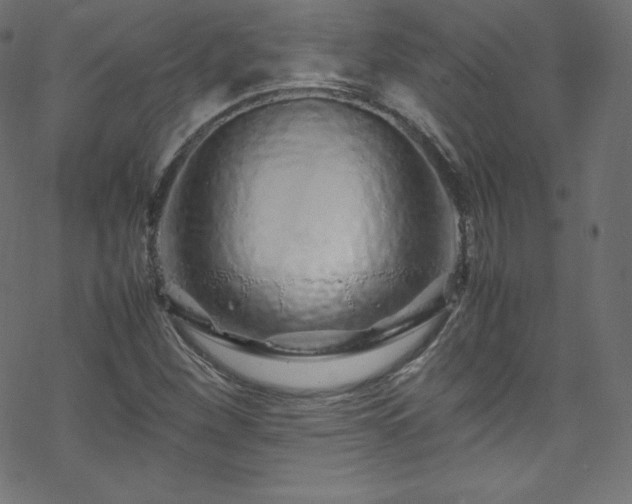 X0000070231260200605301447