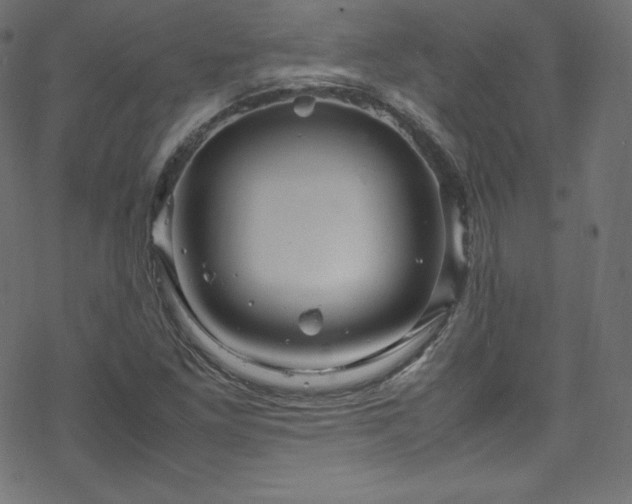 X0000070231261200605301447