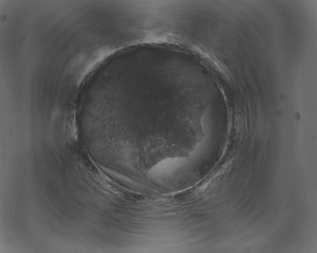 X0000070231262200605301447