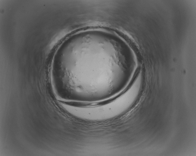 X0000070231263200605301447