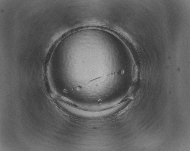 X0000070231264200605301446