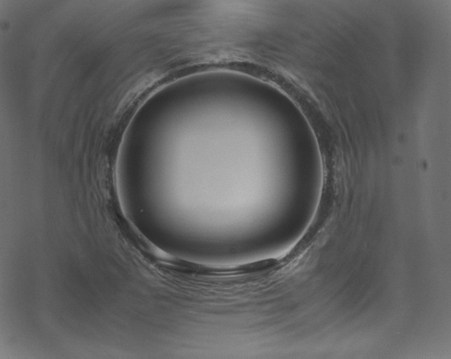 X0000070231265200605301446