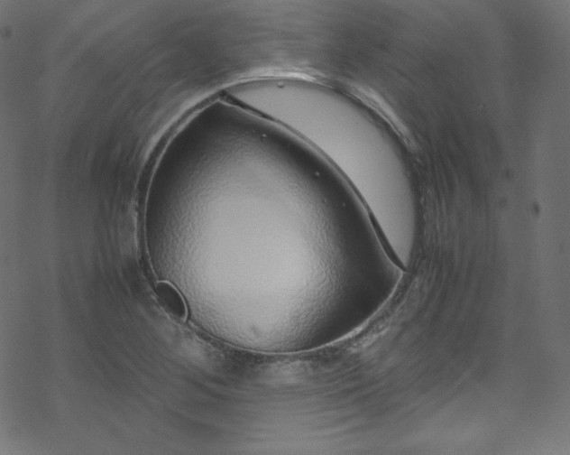 X0000070231268200605301446