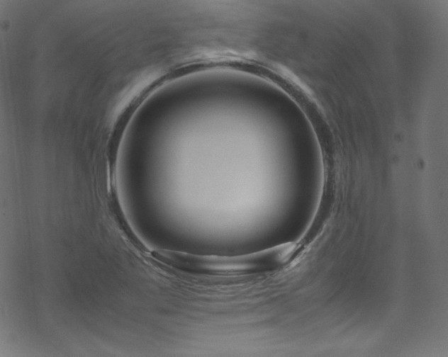 X0000070231269200605301446