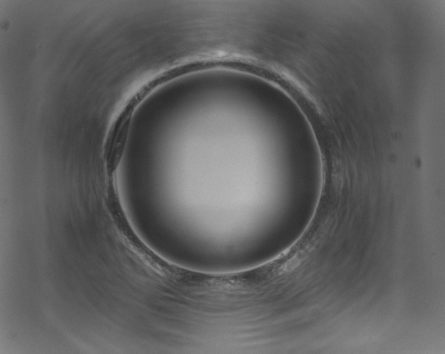 X0000070231270200605301446