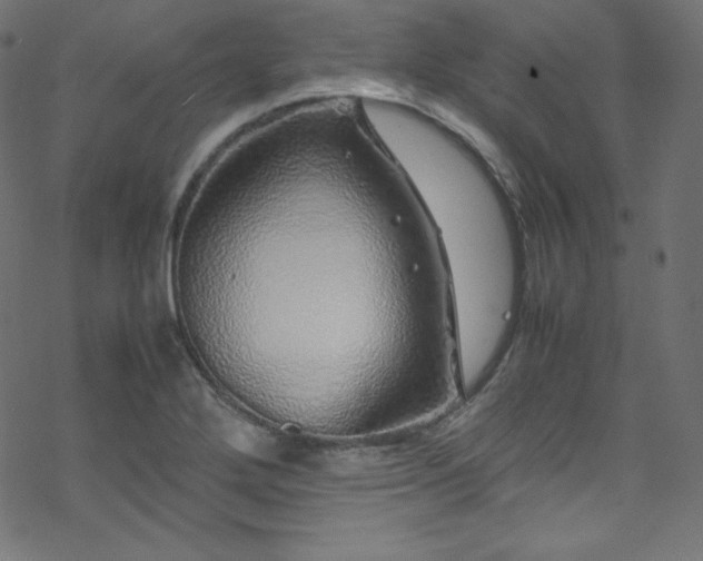 X0000070231272200605301446