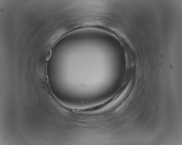 X0000070231273200605301446