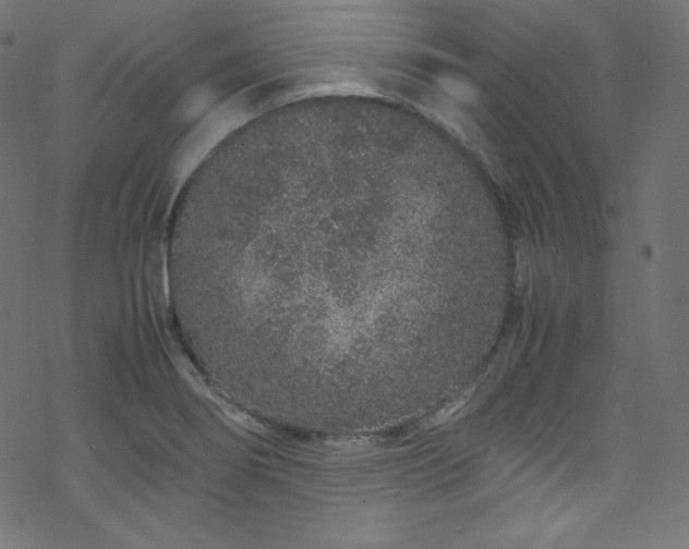 X0000070231274200605301446