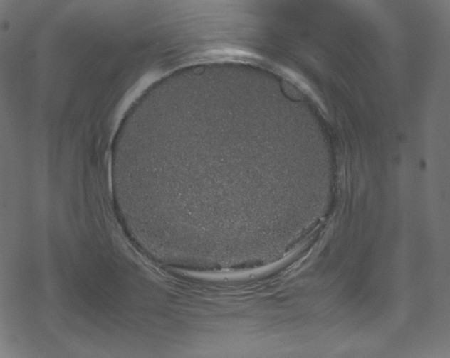 X0000070231275200605301446