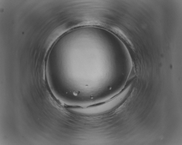 X0000070231276200605301446