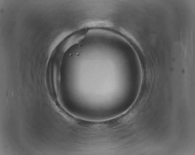 X0000070231277200605301446