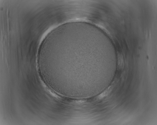 X0000070231278200605301446