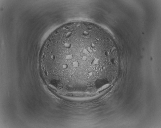 X0000070231279200605301446