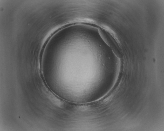 X0000070231280200605301446