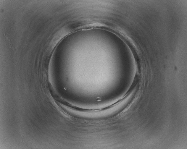 X0000070231281200605301446