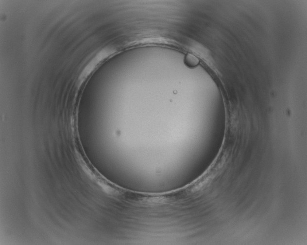 X0000070231282200605301446