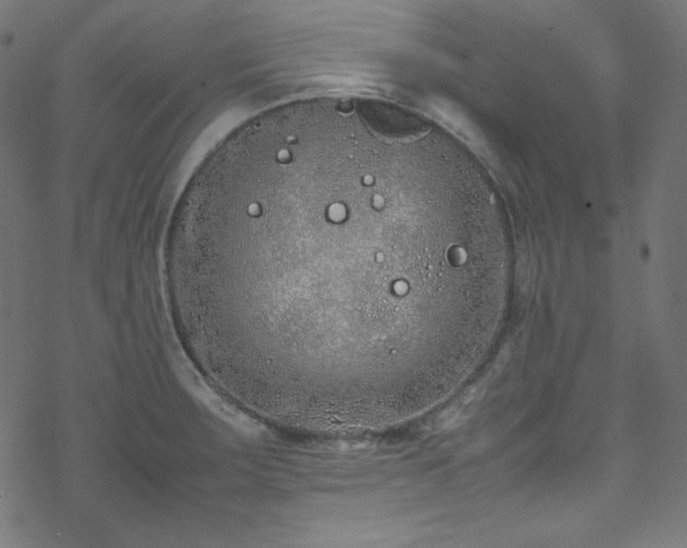 X0000070231283200605301446