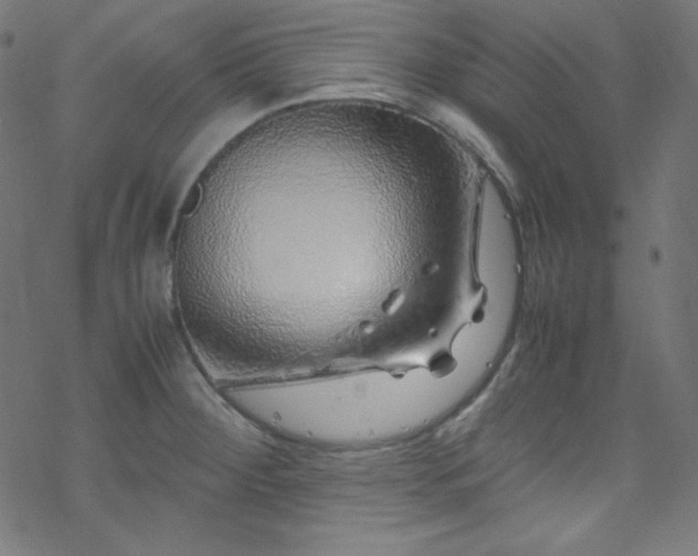 X0000070231284200605301446