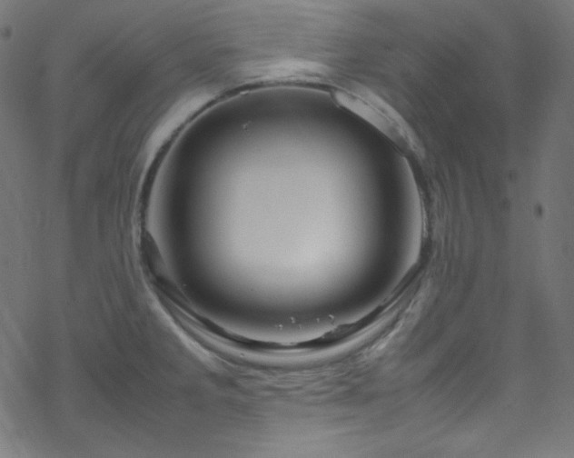 X0000070231285200605301446