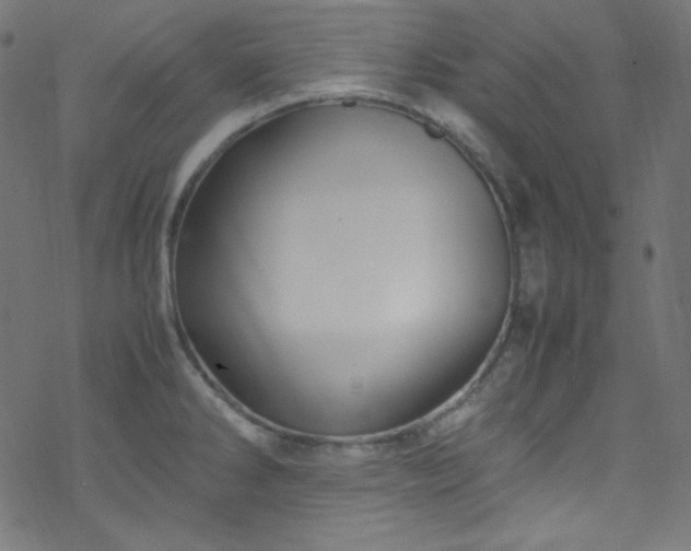 X0000070231286200605301446