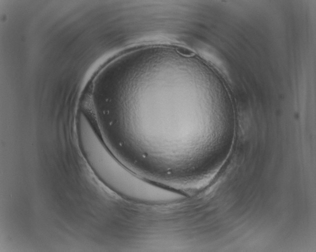 X0000070231288200605301446