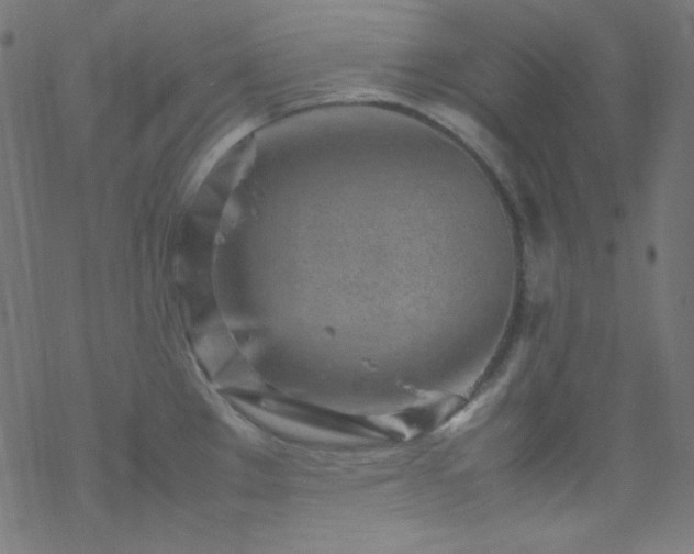 X0000070231289200605301446