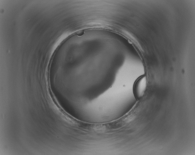 X0000070231291200605301446