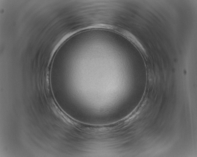 X0000070231292200605301446