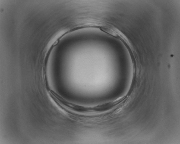 X0000070231293200605301446