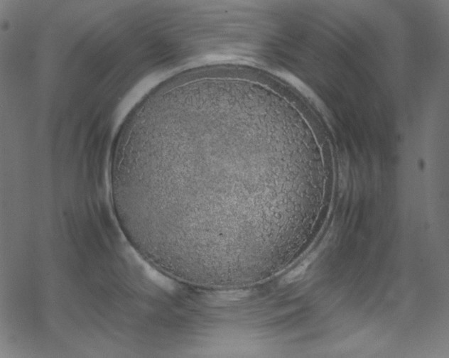 X0000070231294200605301446