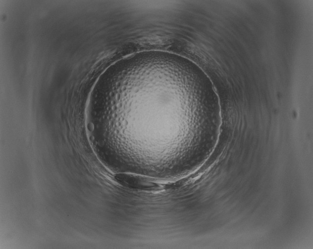 X0000070231297200605301445