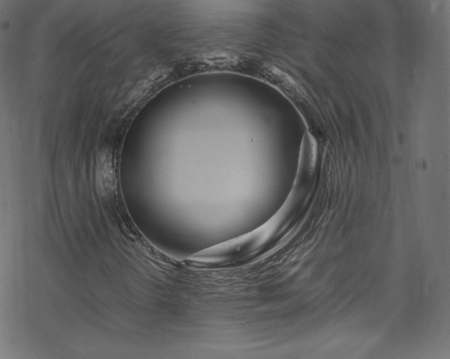 X0000070231298200605301445