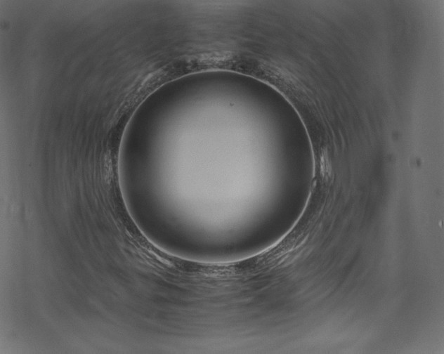 X0000070231299200605301445