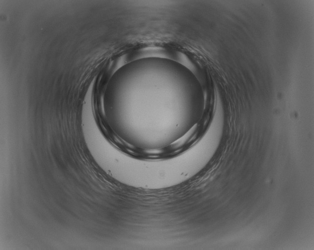 X0000070231300200605301445